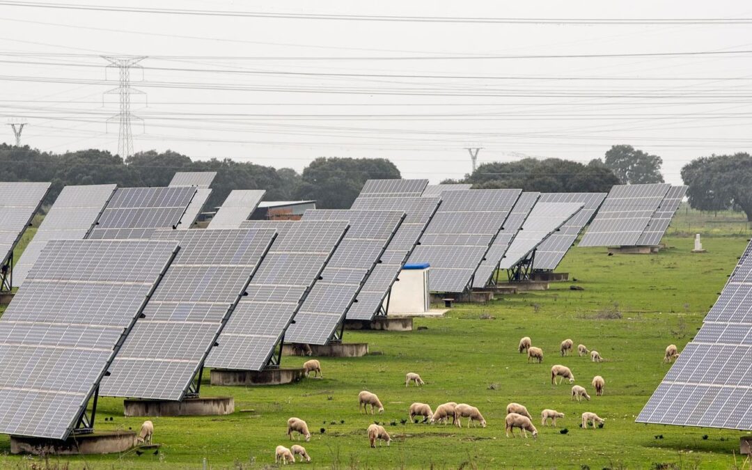 Solar Power Vs. Traditional Energy Sources in Ireland: A Green Energy Shift Backed by SEAI Grants
